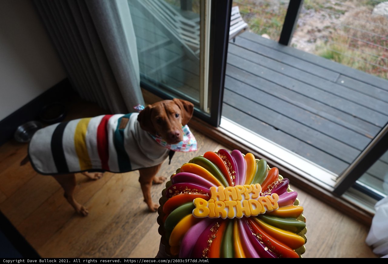 Birthday Surprise