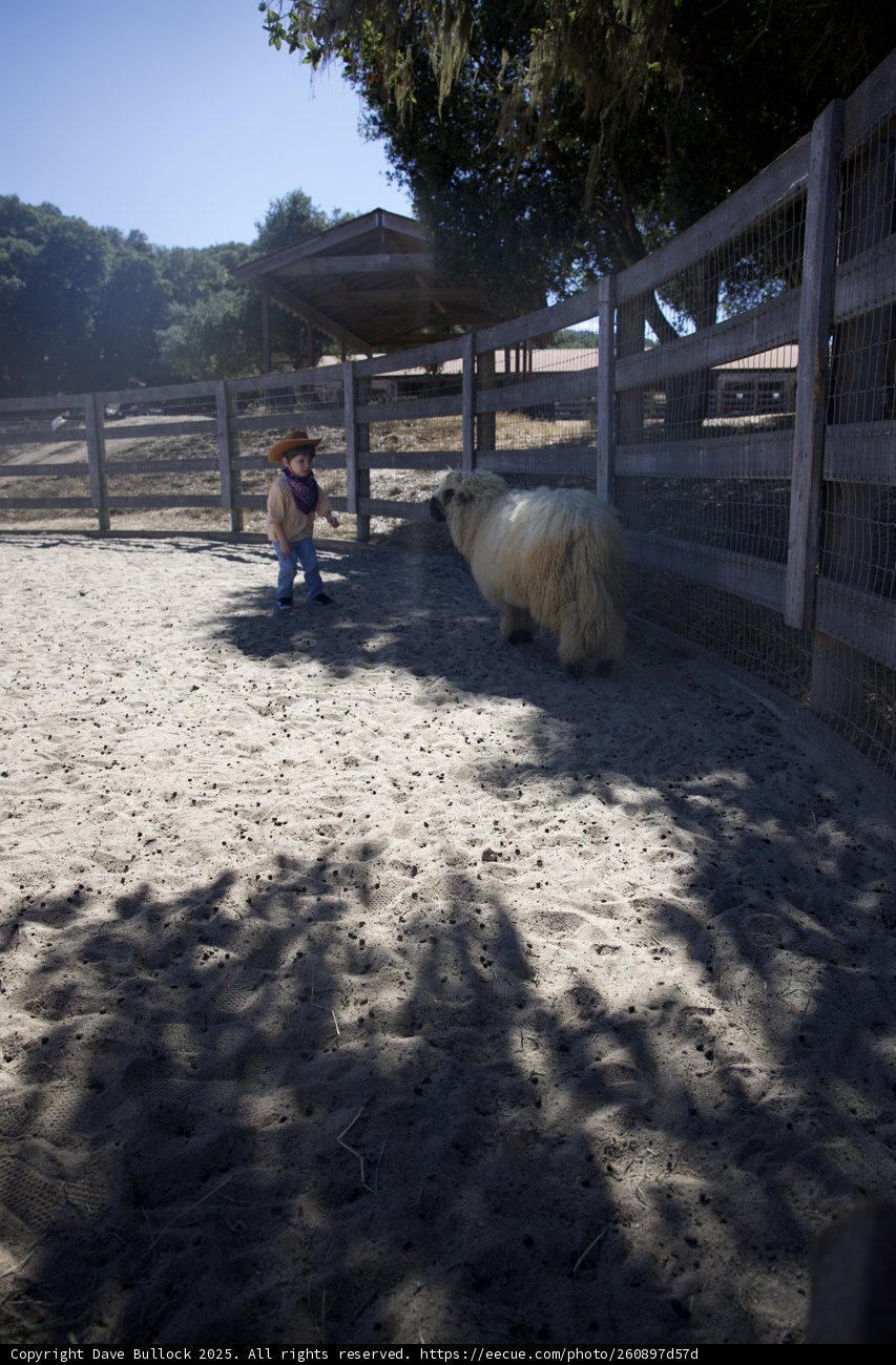 Ranch Adventures in Carmel Valley