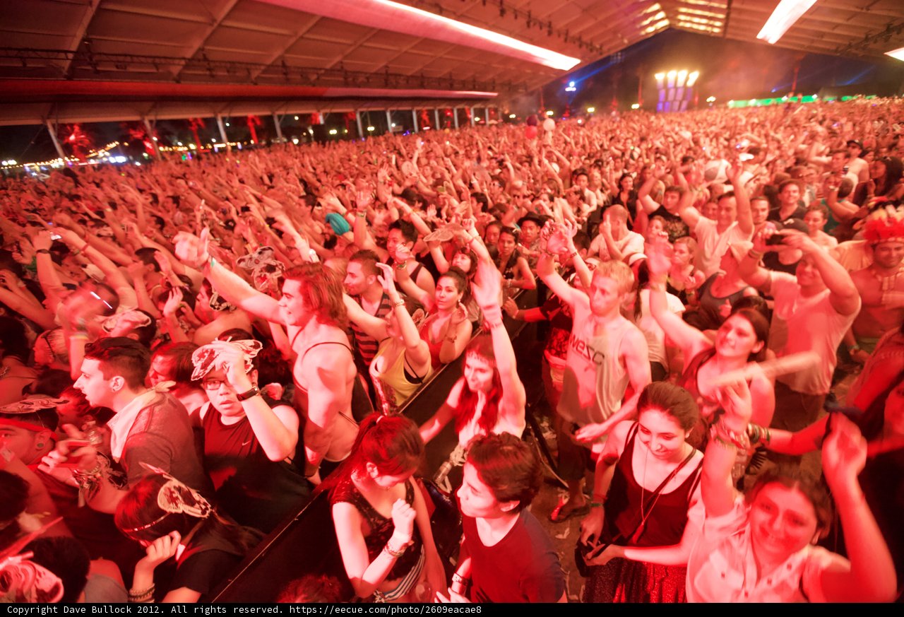 Festival Fever