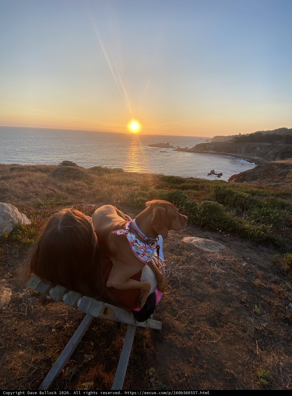 Sunset Relaxation