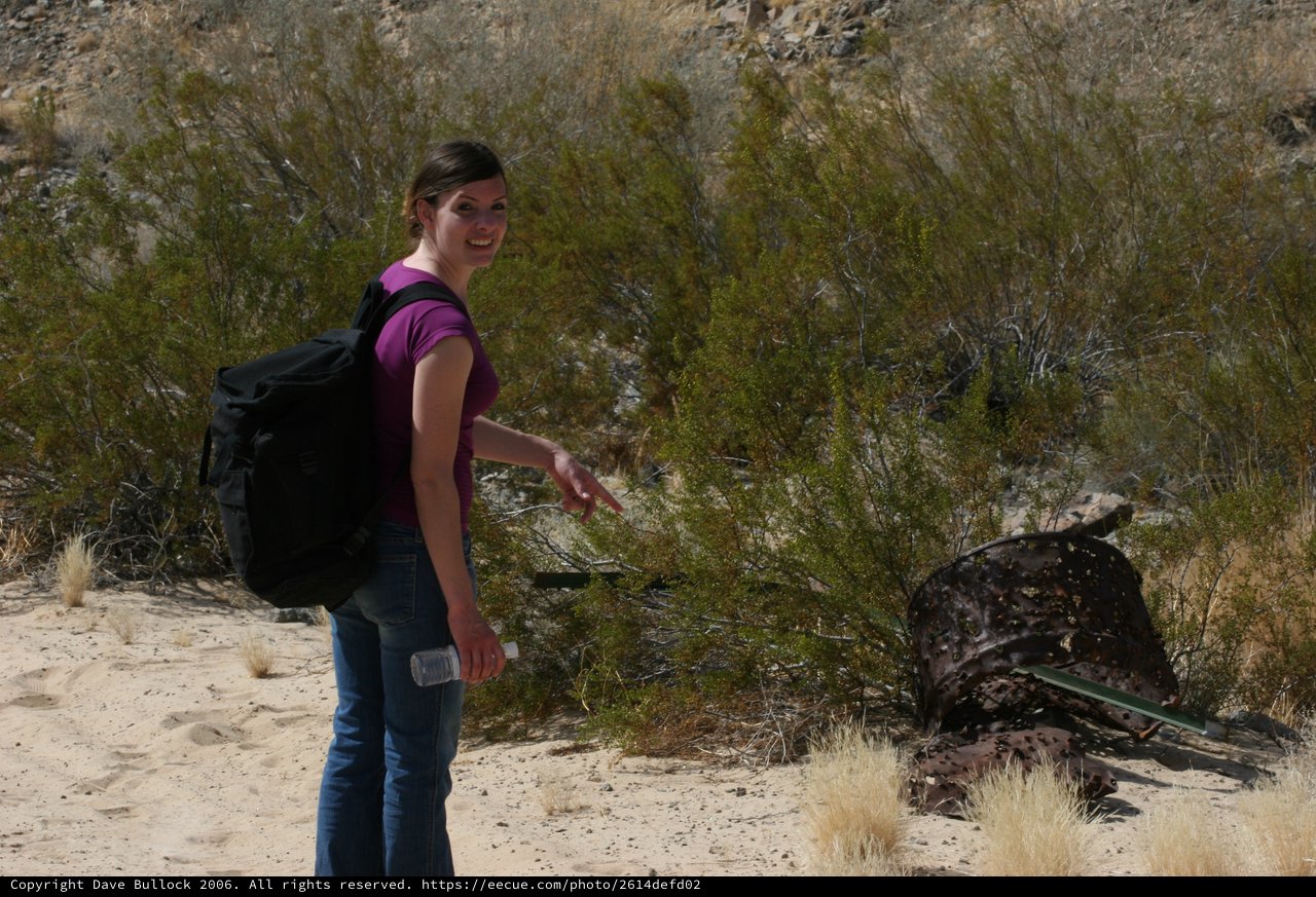 Desert Explorer Points at Vintage Wreckage in Arid Landscape