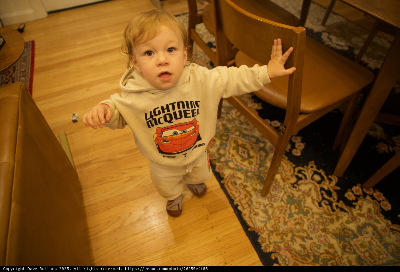 Little Explorer in the Dining Room