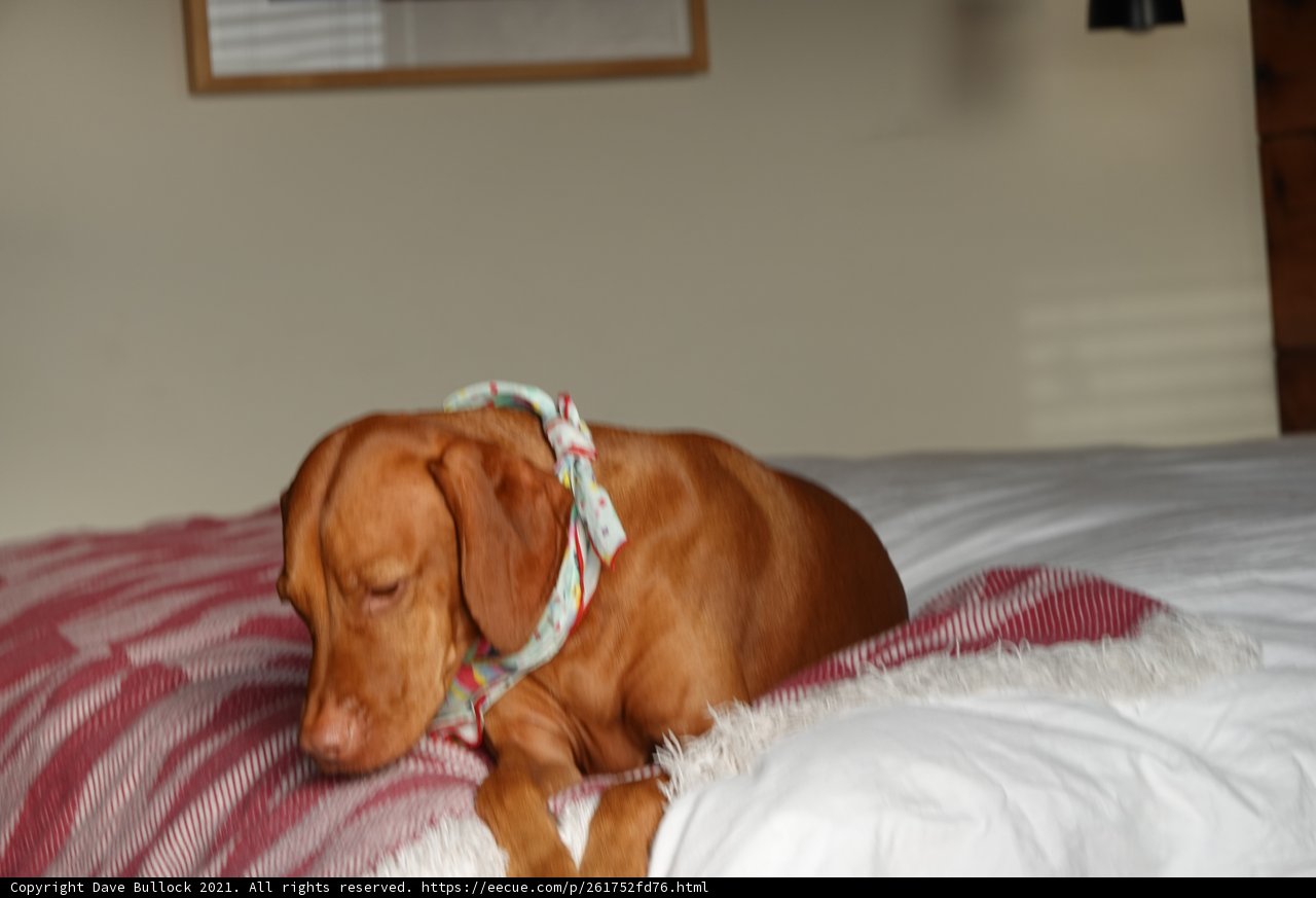 Rest and Relaxation