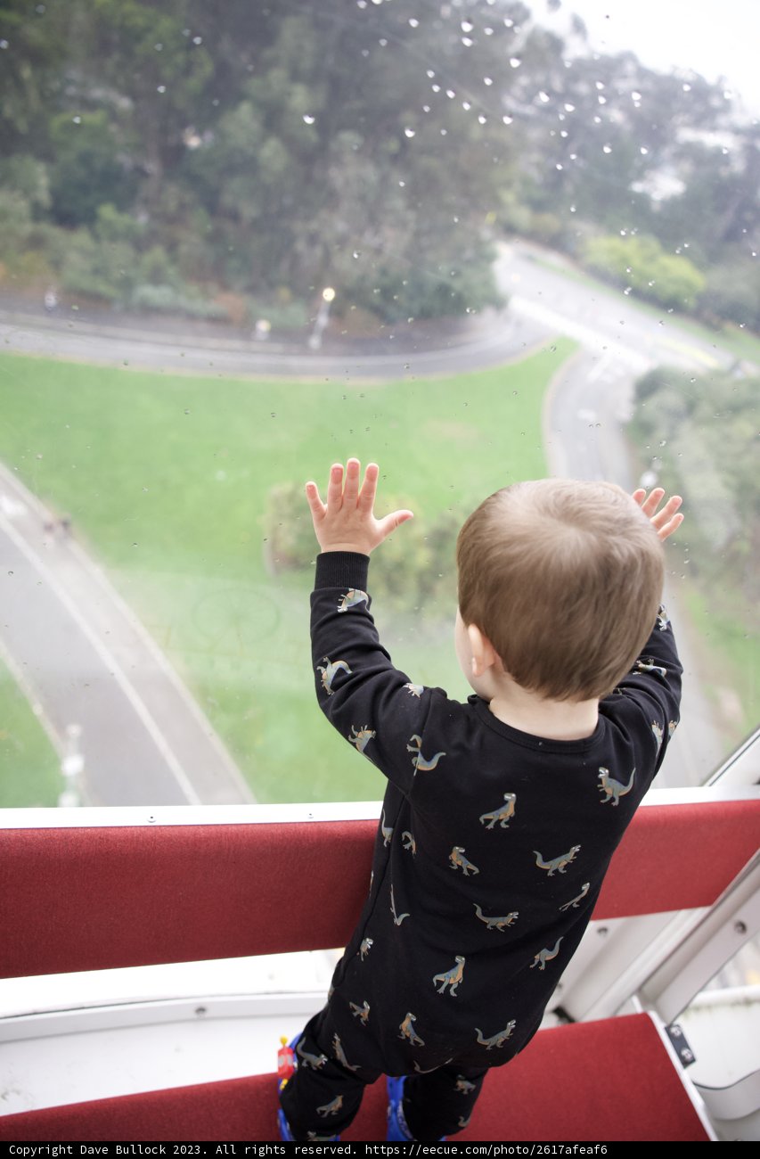Mesmerized by the City View from Golden Gate Park