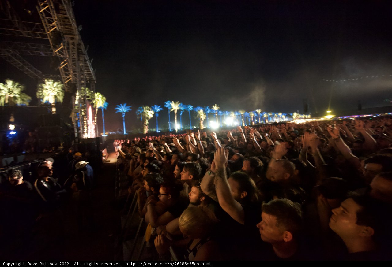Hands Up in the Night Sky