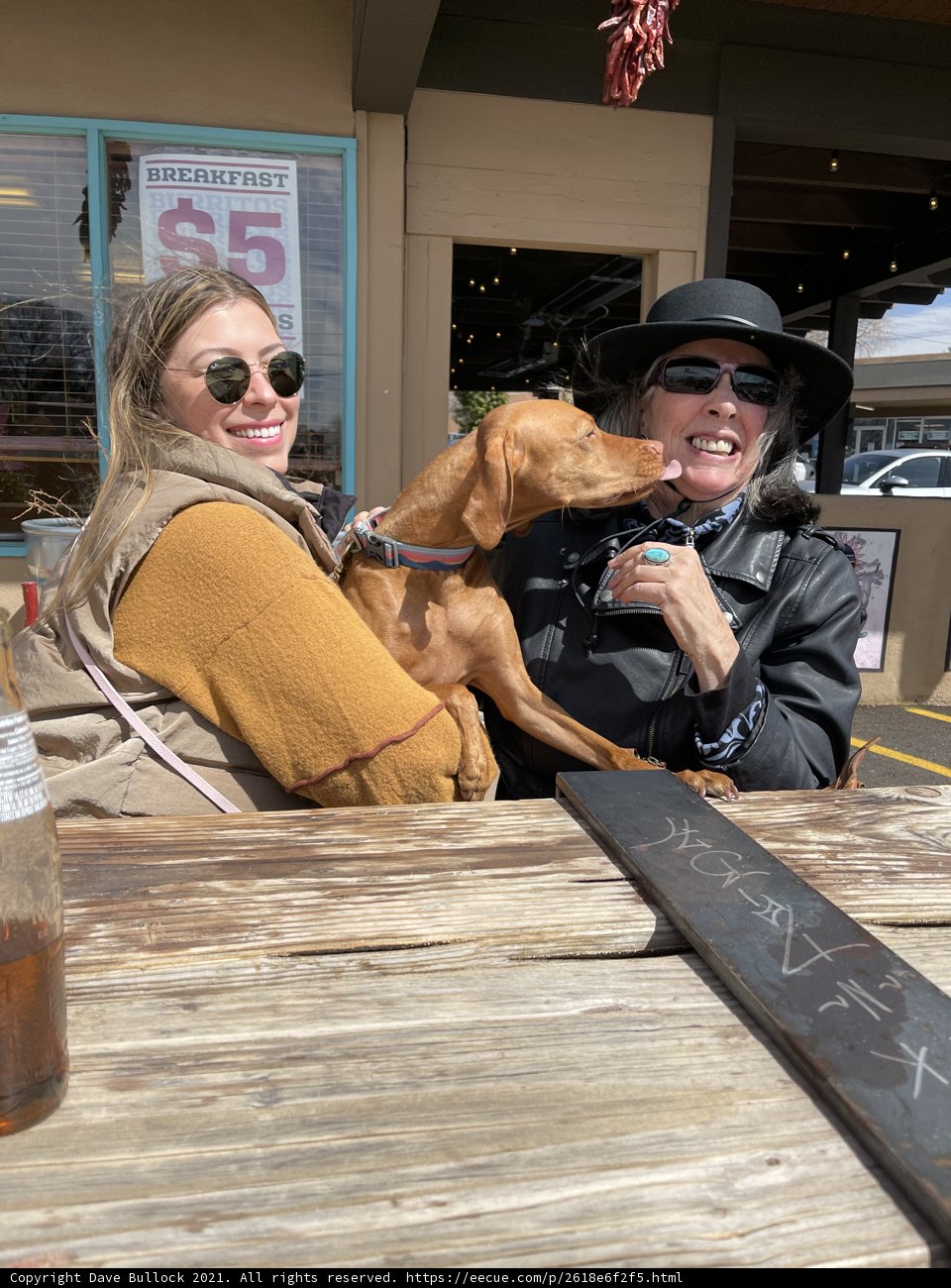 Table for Two: A Woman and Her Canine Companion