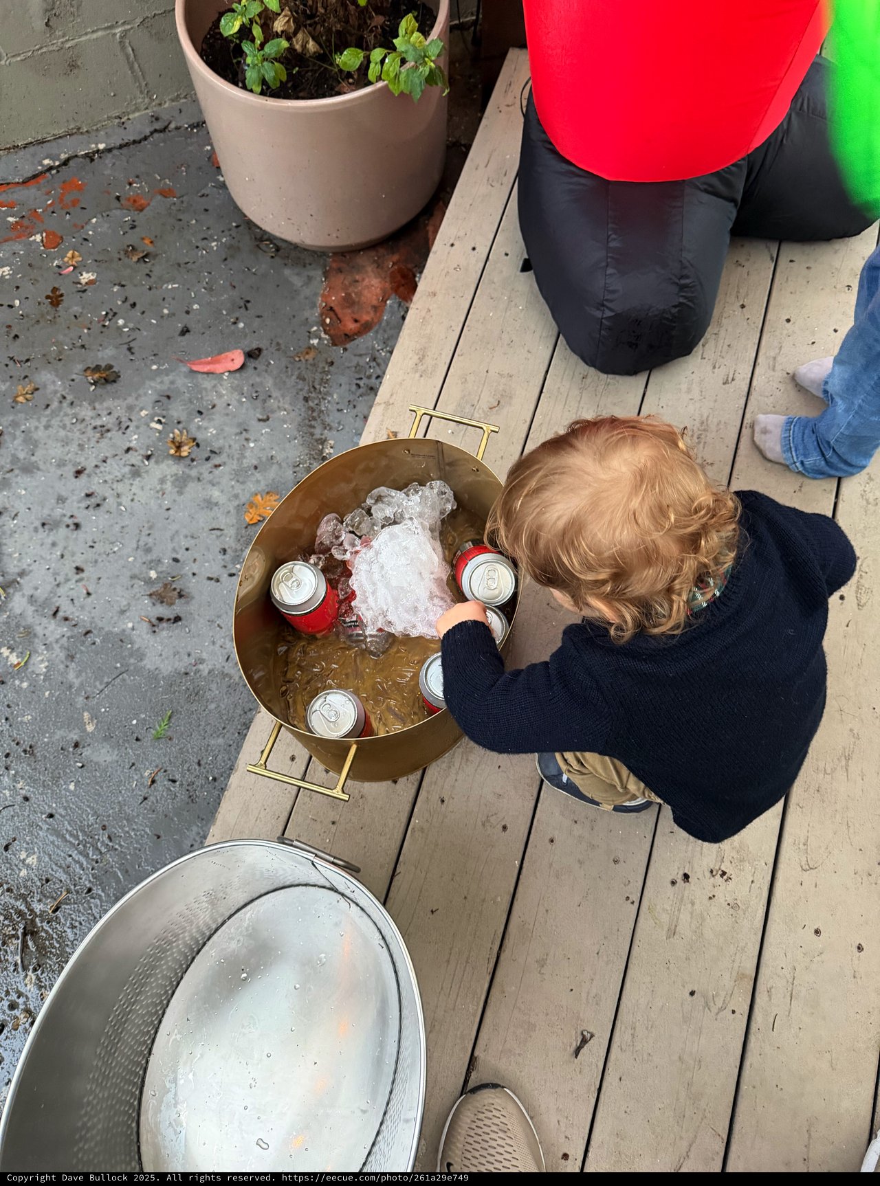 Child Reaching for Ice in Golden Beverage Tub