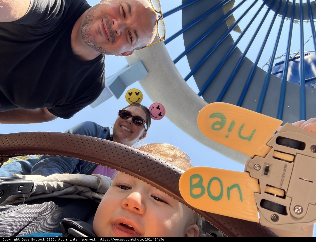 Joyful Moments at Disneyland