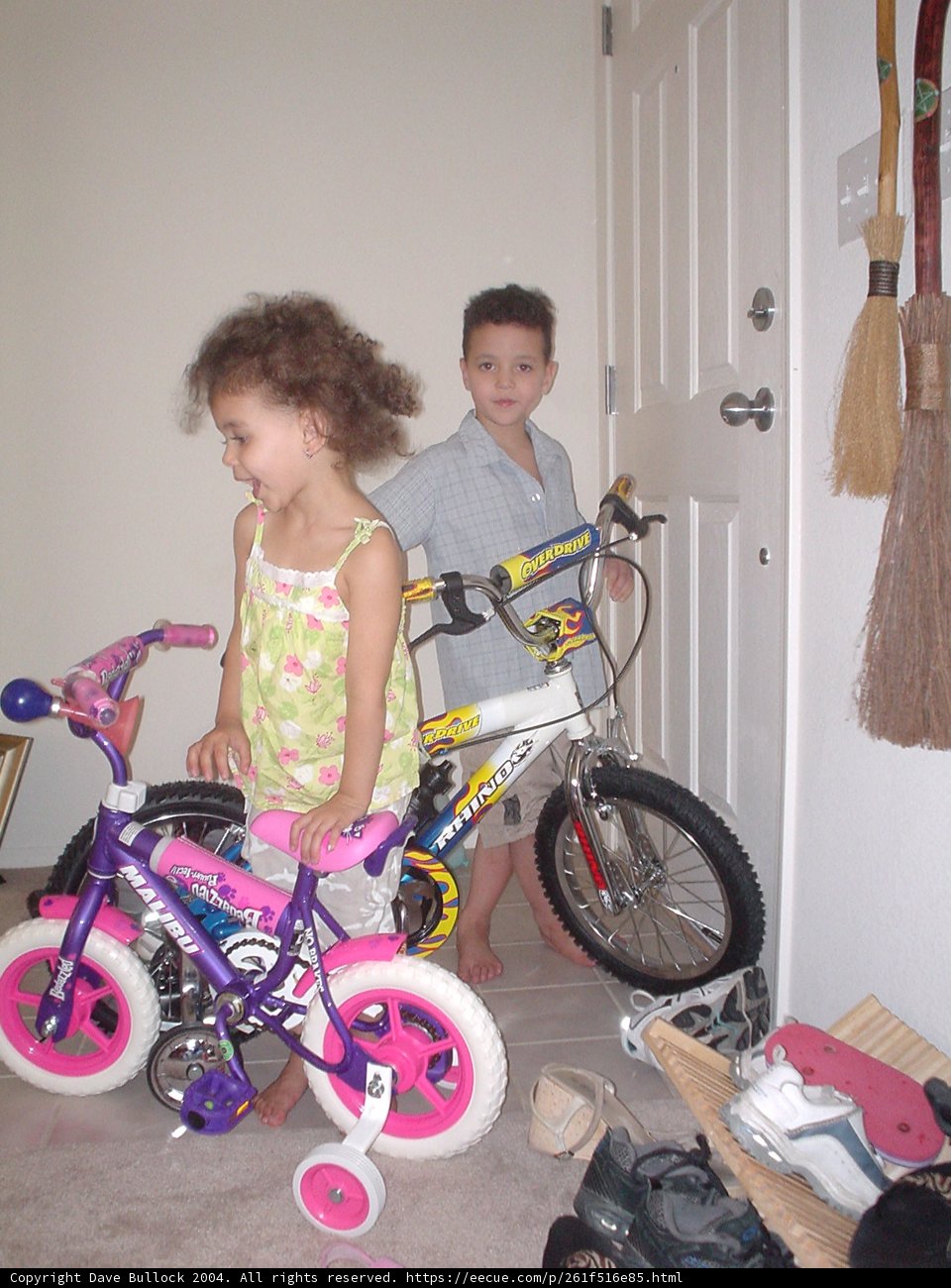 Bike Buddies