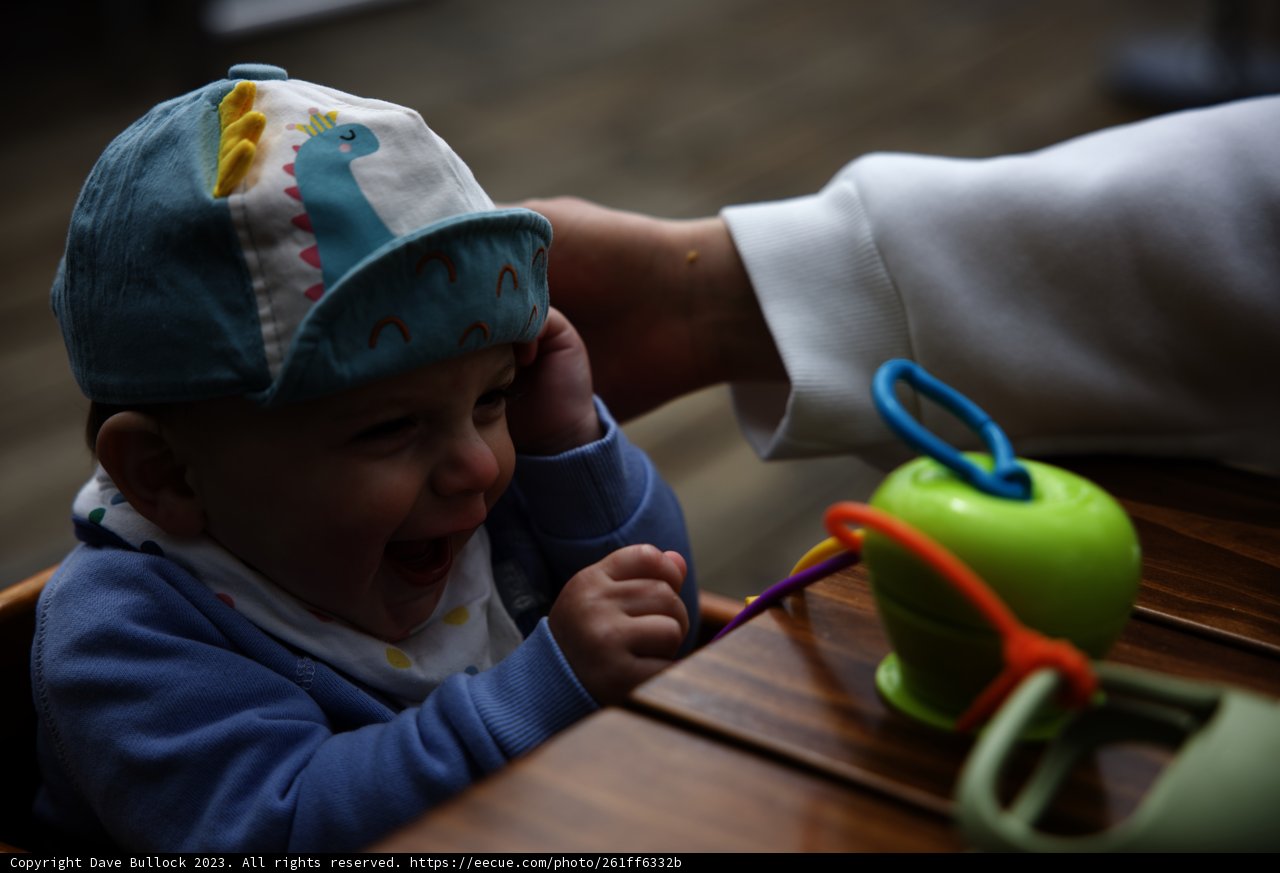 Little Explorer in Tiburon