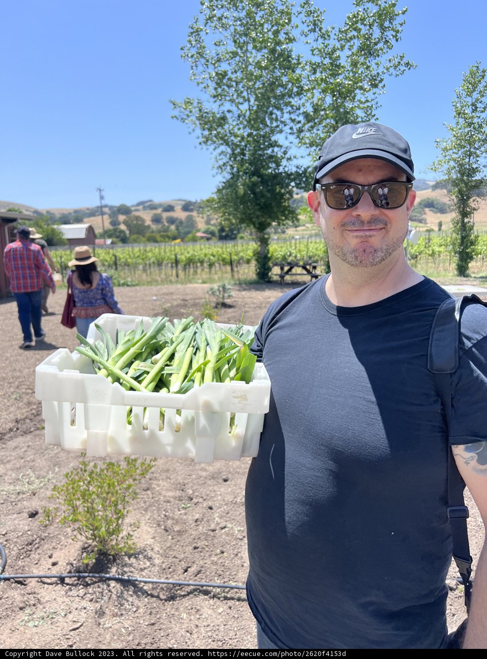 Embrace of Green: A Moment in Regenerative Gardening