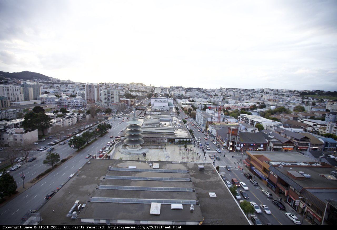 Bird's Eye View of an Urban Jungle
