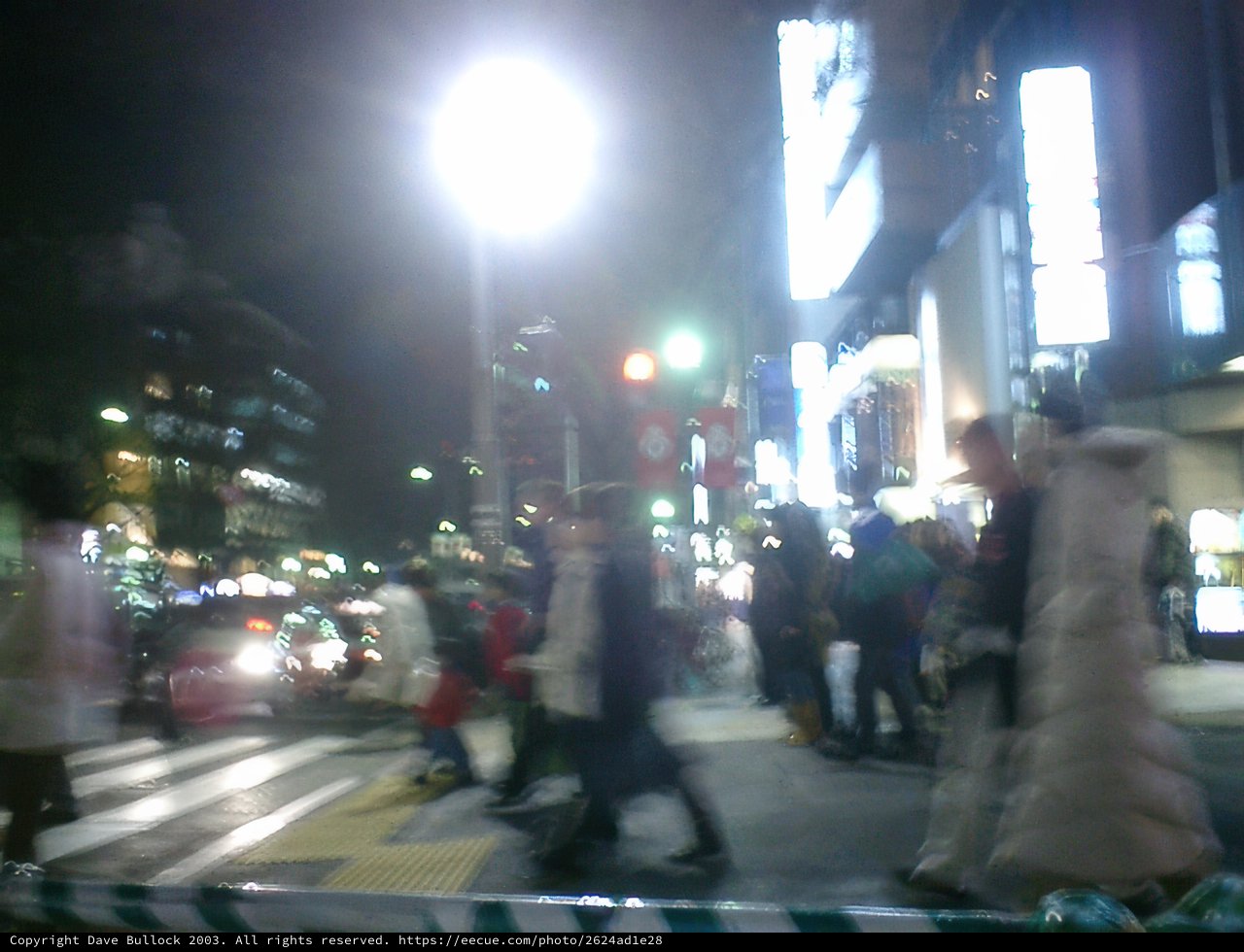 Urban Nightlife in Tokyo