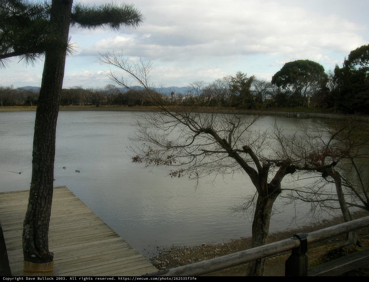 Serene Lakefront View