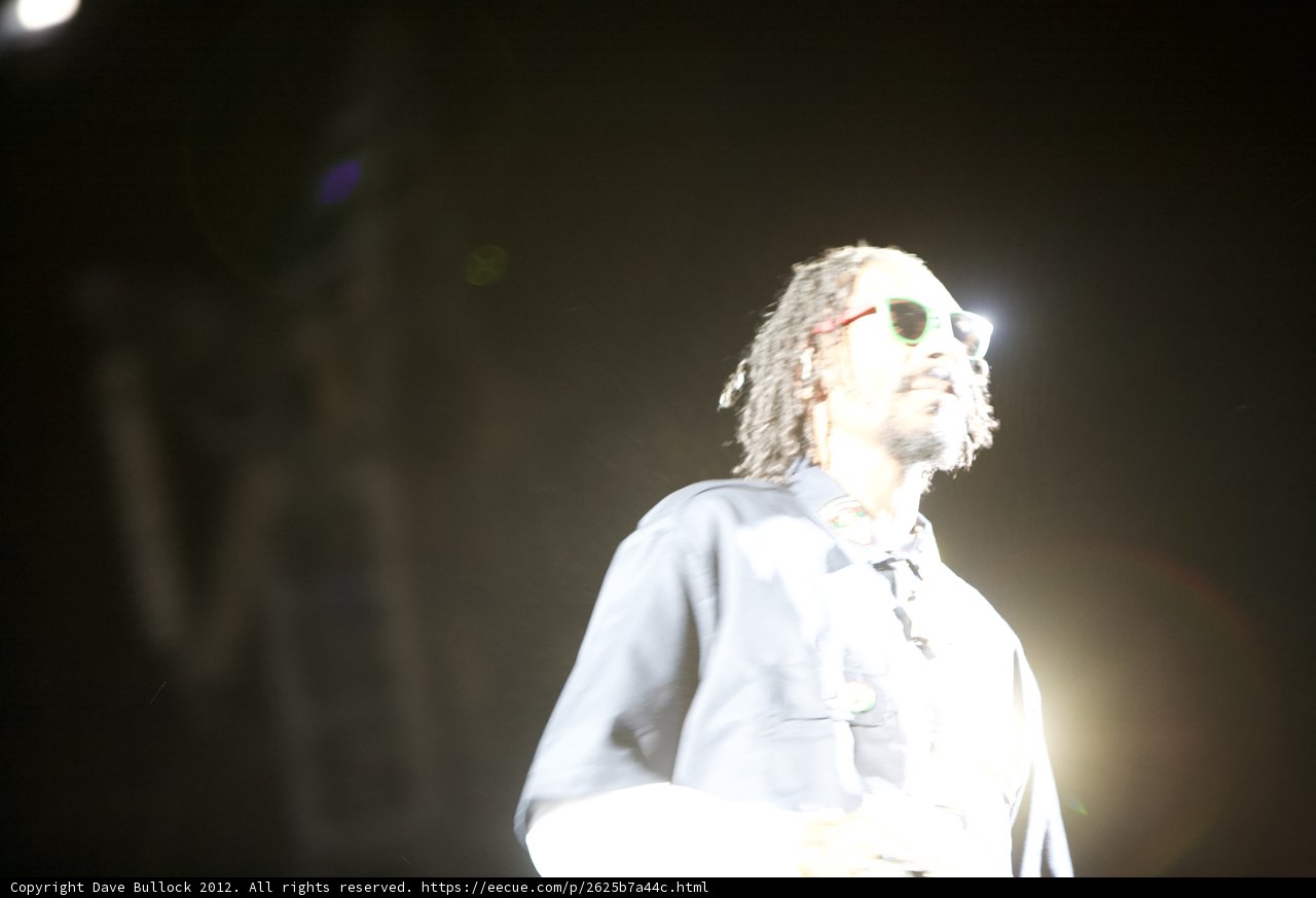 Snoop Dogg Rocks the Stage at Lollapalooza 2012