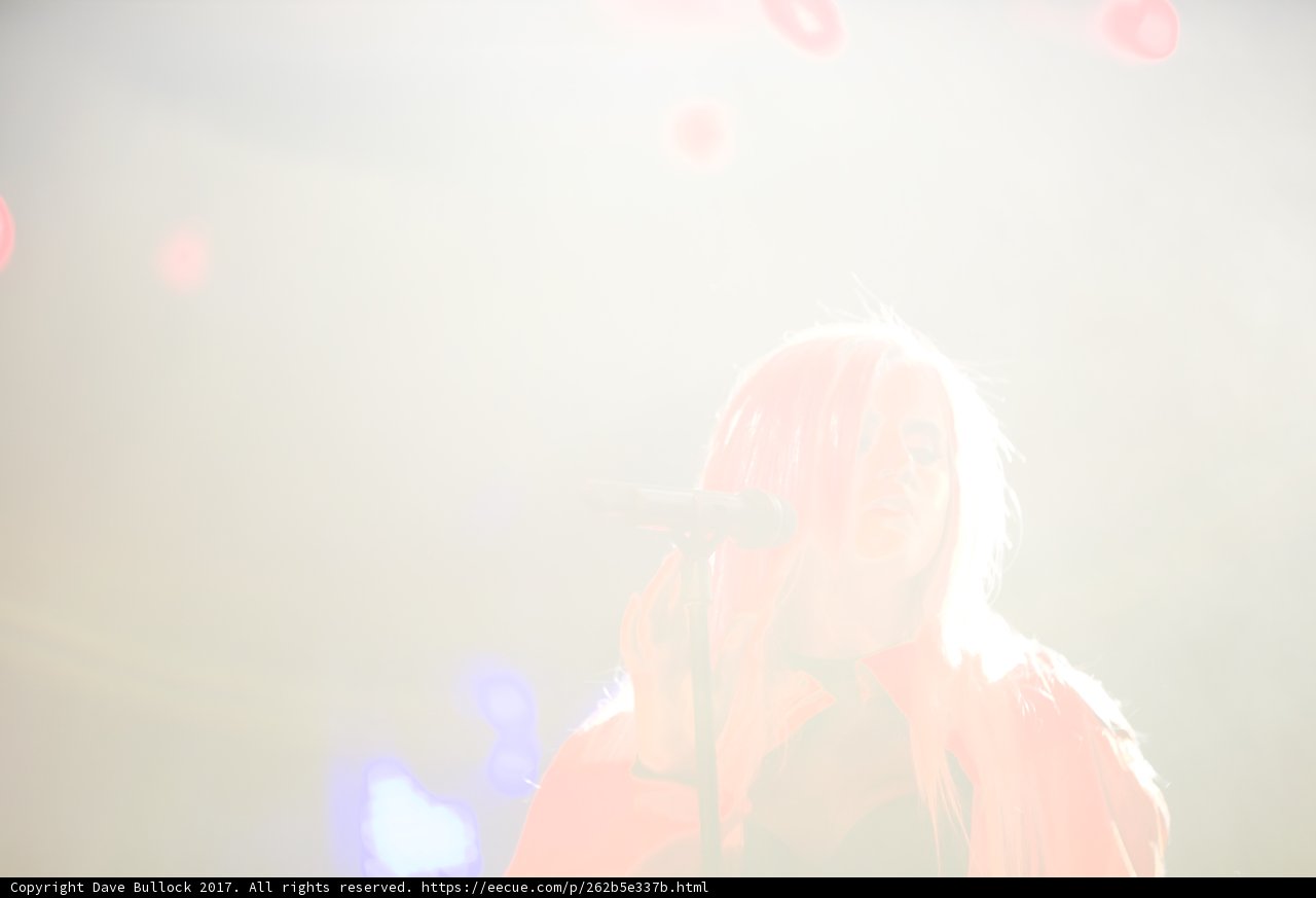 Pink-Haired Performer Rocking Coachella
