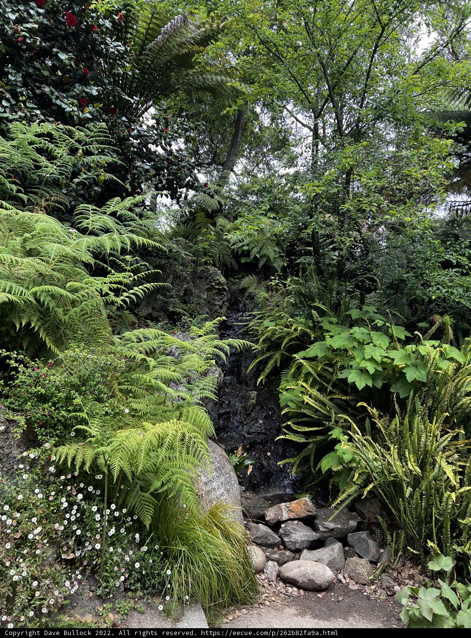 Serenity in the Wild: Exploring the Hidden Gems of Golden Gate Park