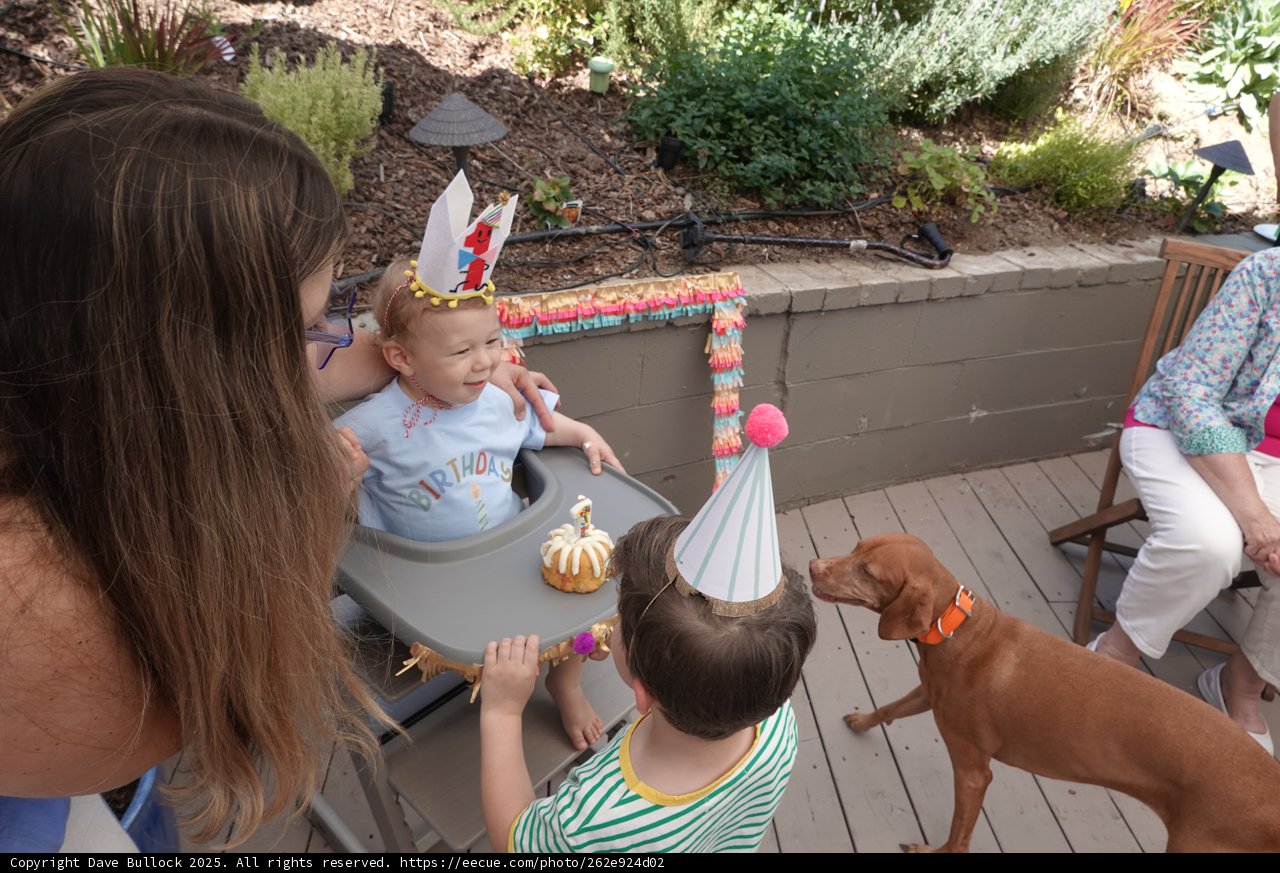 Birthday Bash in the Backyard