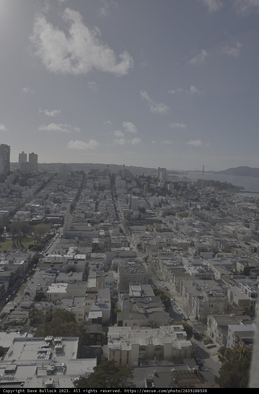 A Bird's Eye View of the City