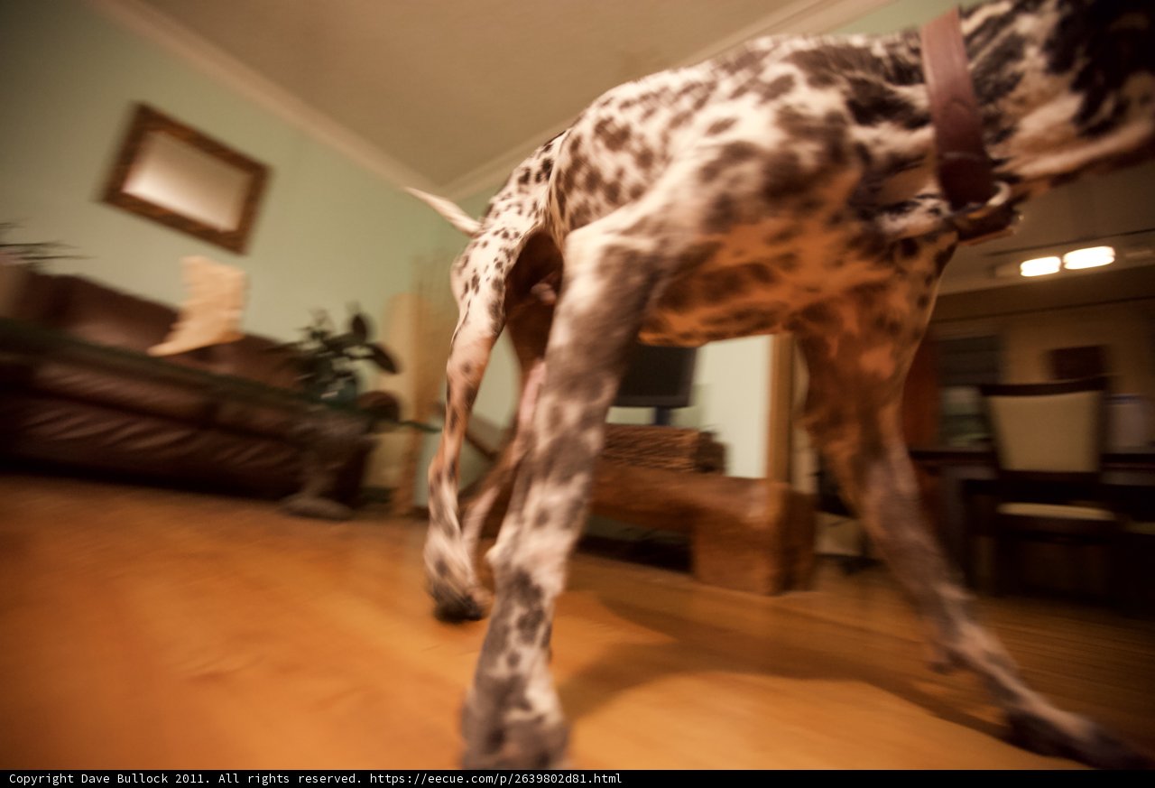 Dancing on Hardwood Floors