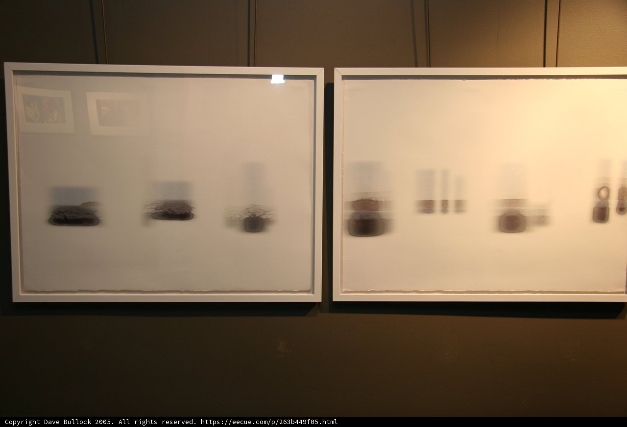 dual art display