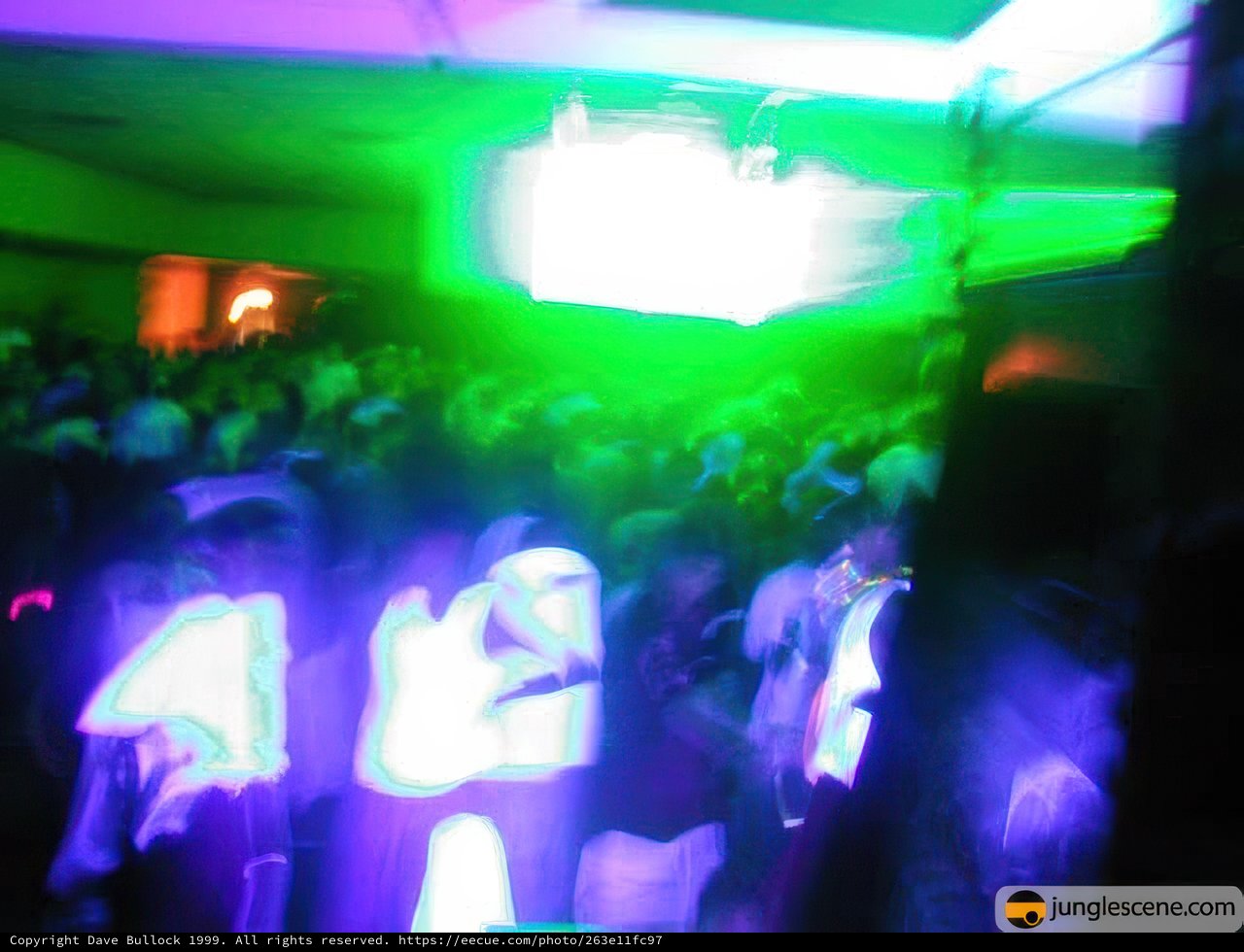 Nightlife Chaos