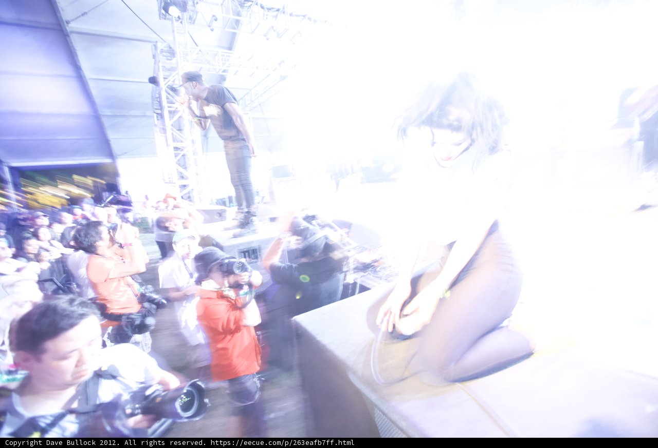 Blurring Through the Crowd