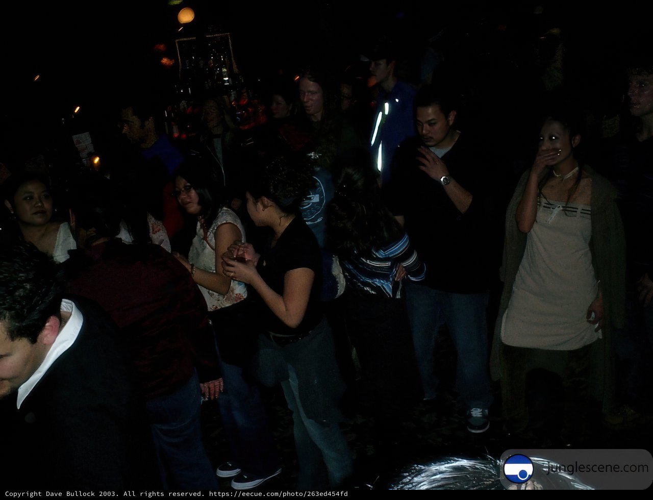 Nightclub Gathering
