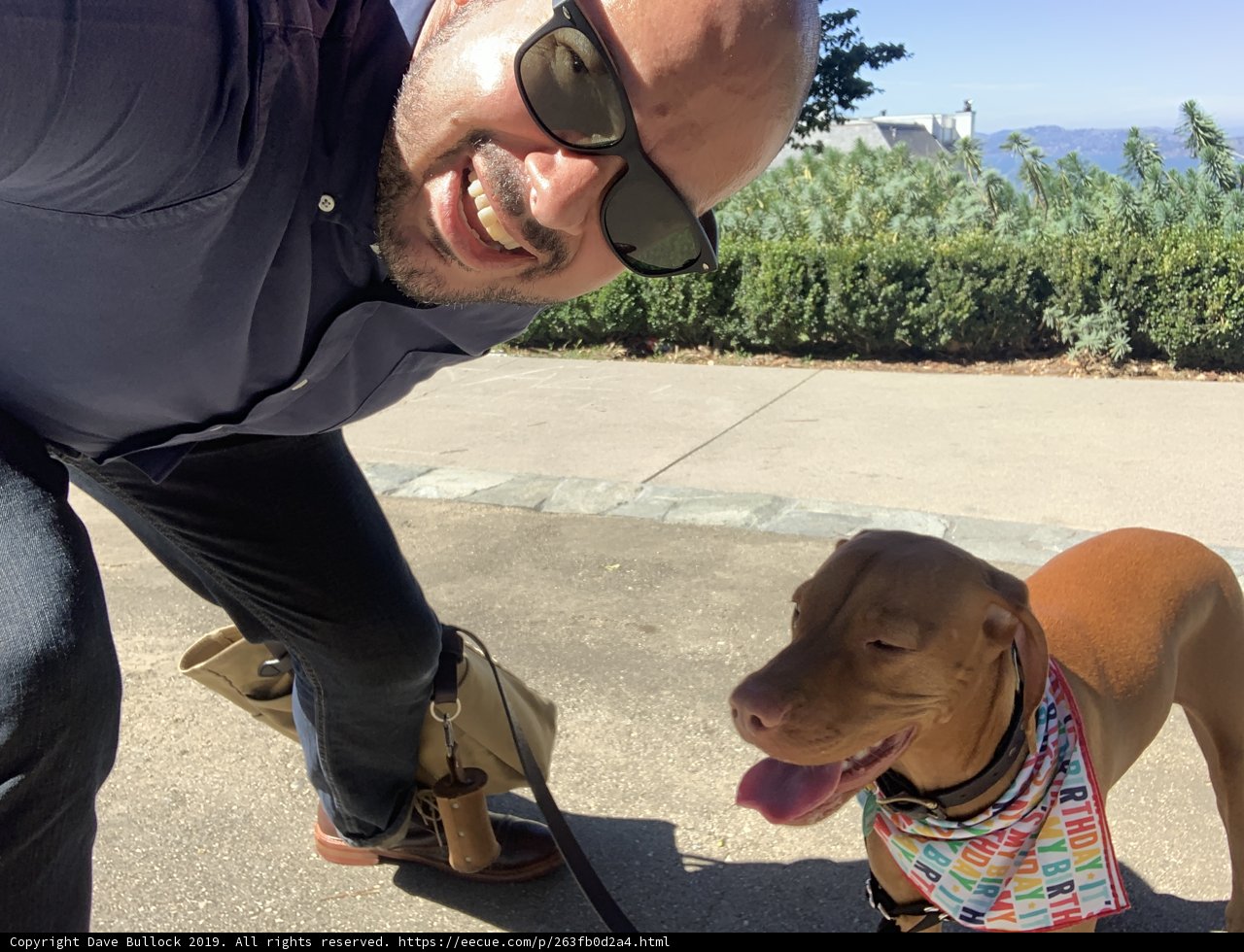 Man and Dog in Sunglasses Strike a Pose