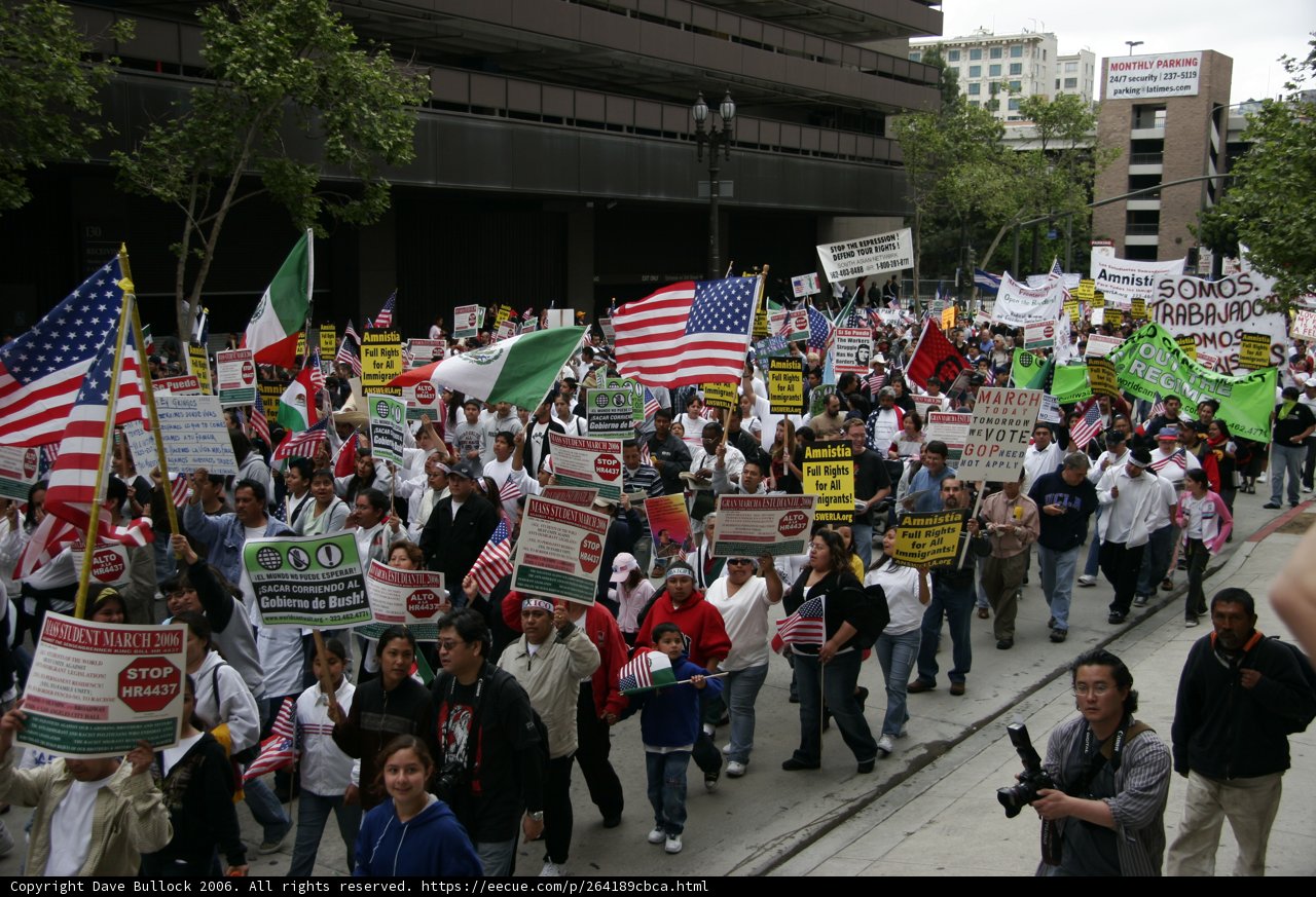 Protesters take to the streets with signs and flags
