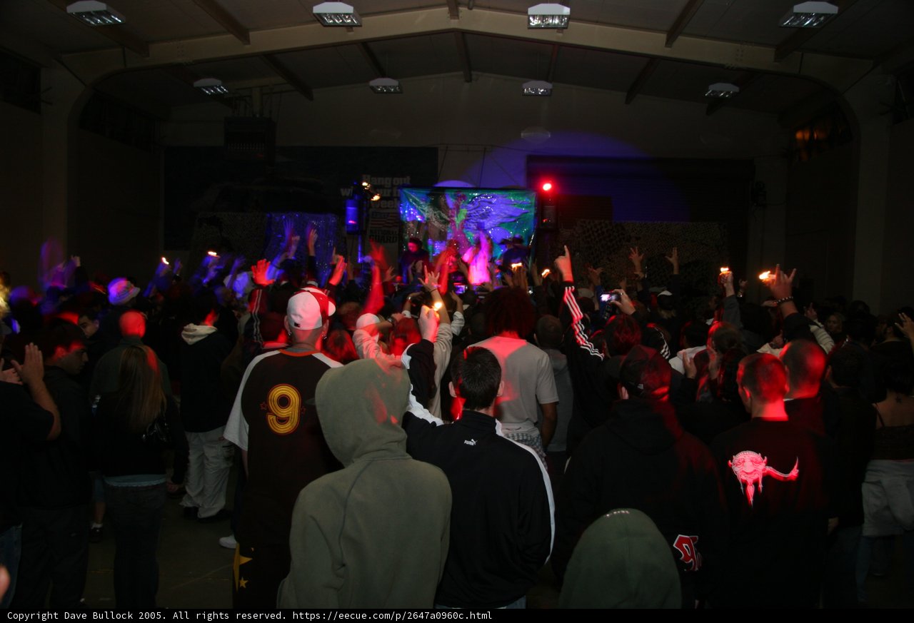 Nightclub Gathering
