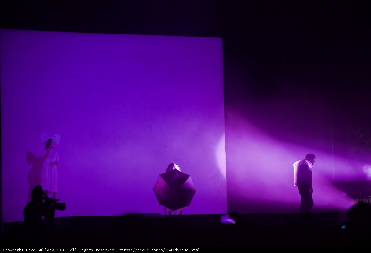Purple Spotlight Performance
