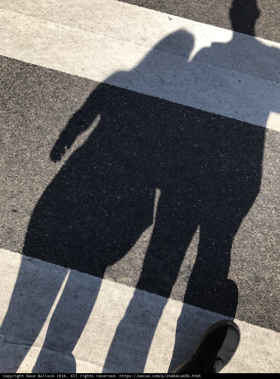 Shadowy crosswalk