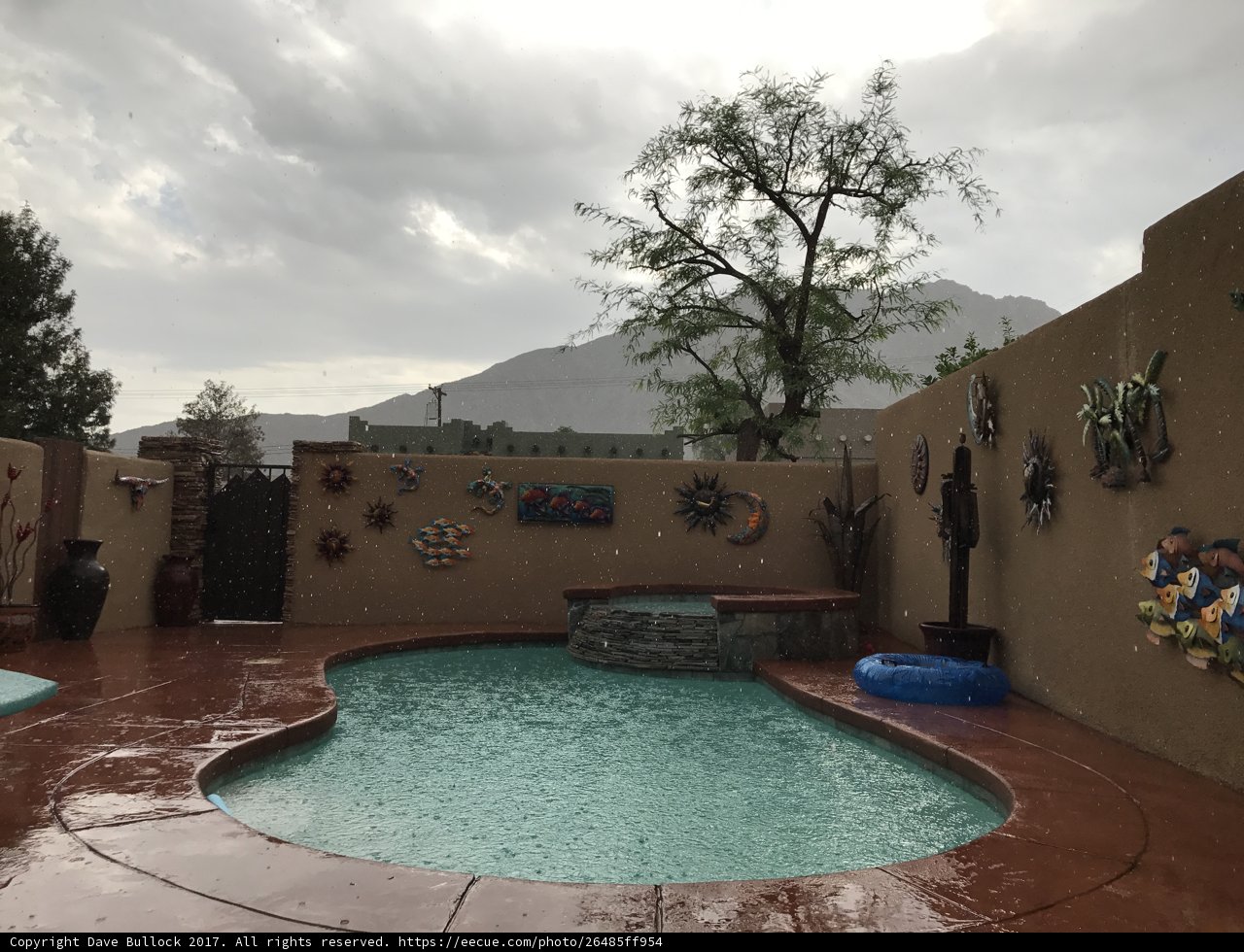Mountain View Paradise