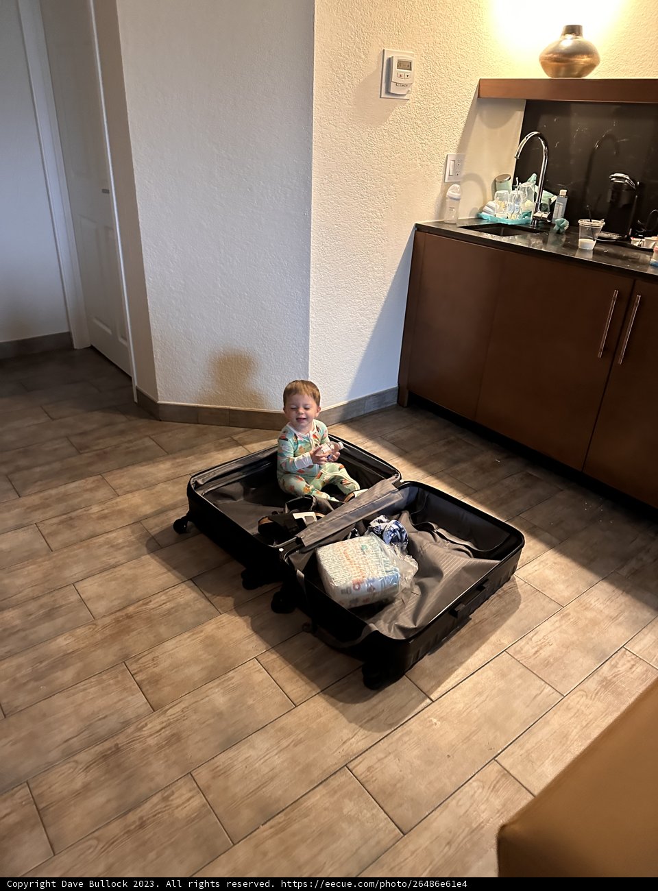 Travel-Sized Companion: Baby's First Suitcase Adventure