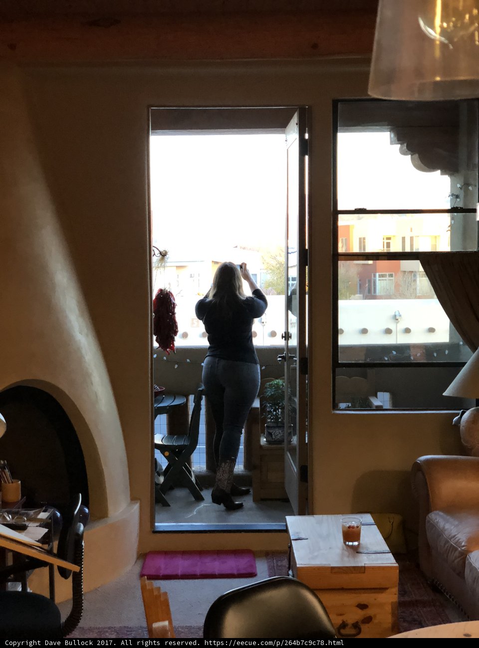 Living Room View