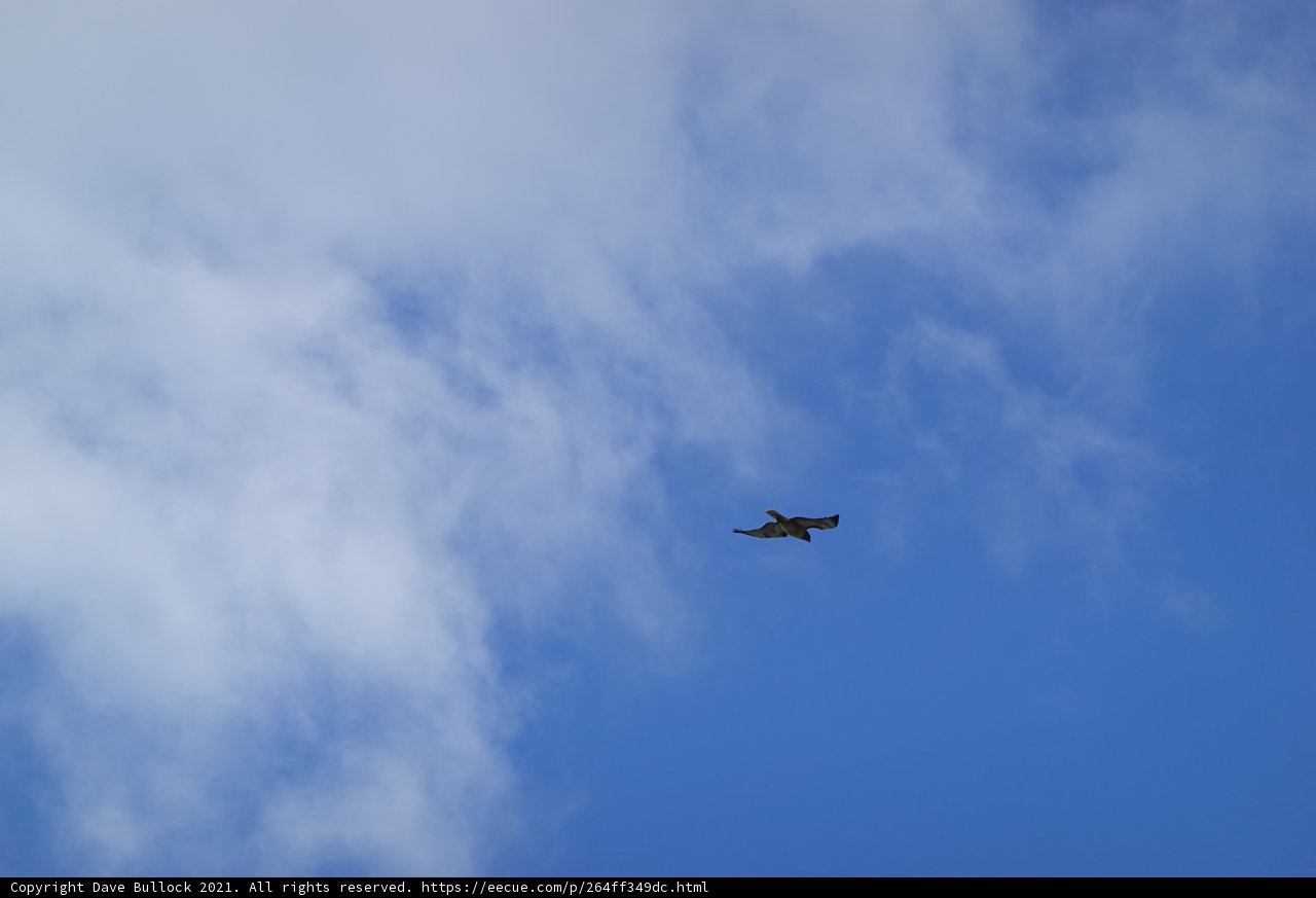 Cloud Surfing in Jenner