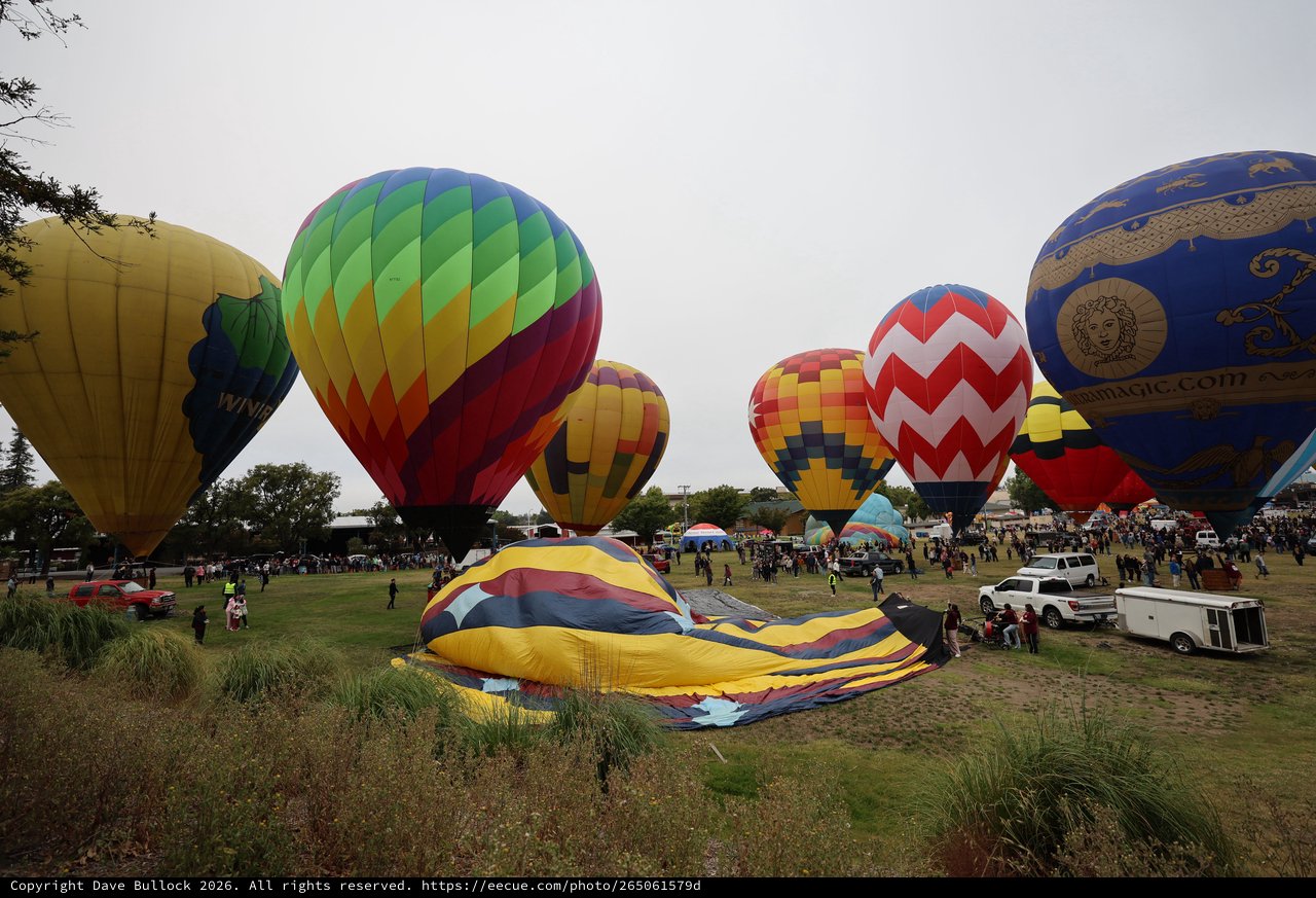 Colorful Hot Air Balloons at Sonoma County Classic
