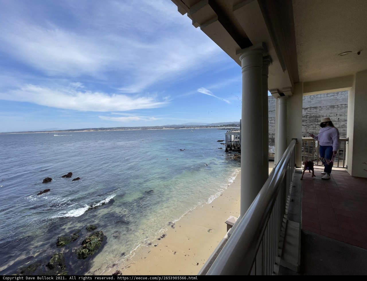 A Woman and Her Dog Enjoying the Scenery from a Hotel Balcony Overlooking the Ocean