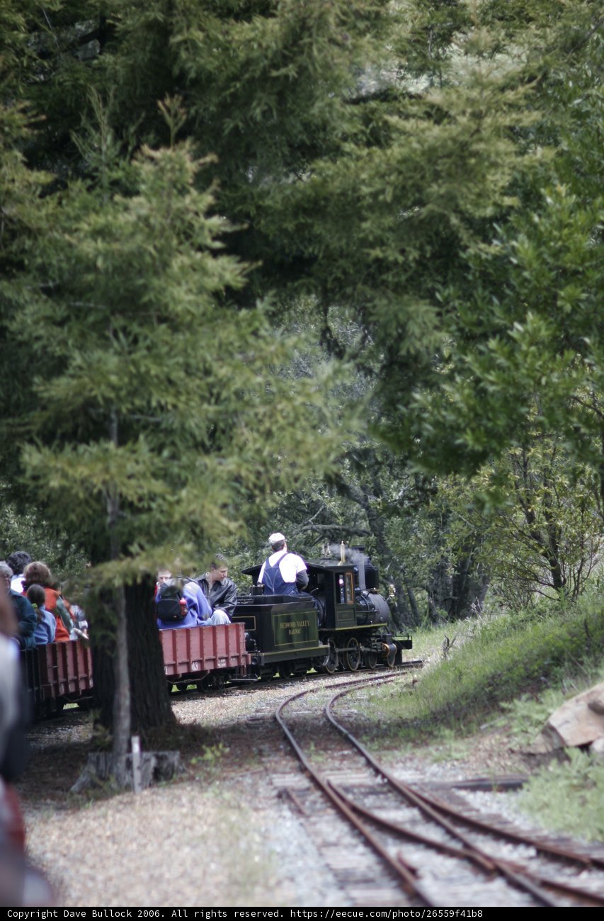 Riding the Rails through Green Fields