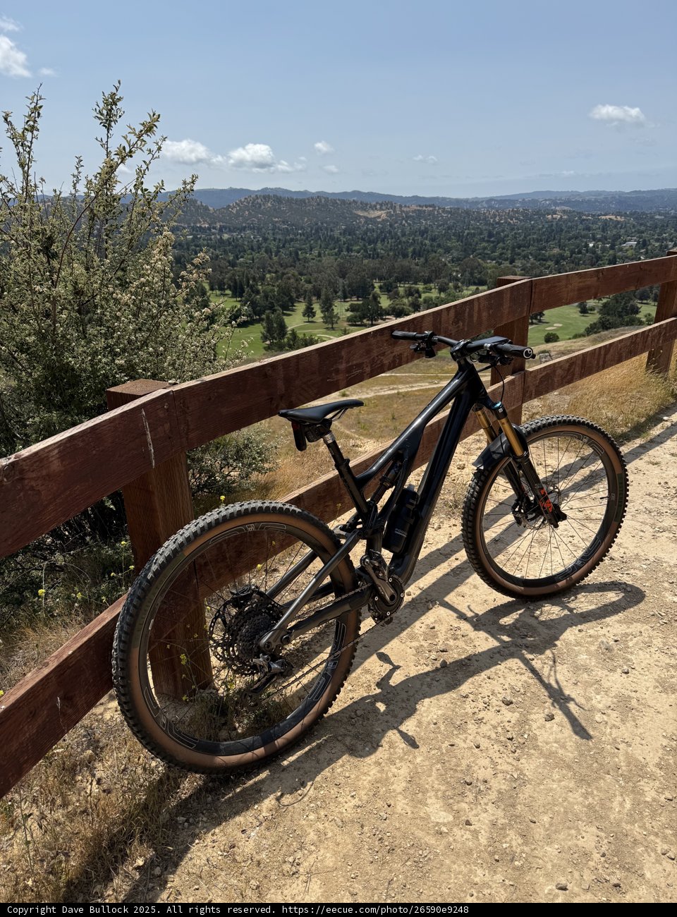 Mountain Biking Bliss