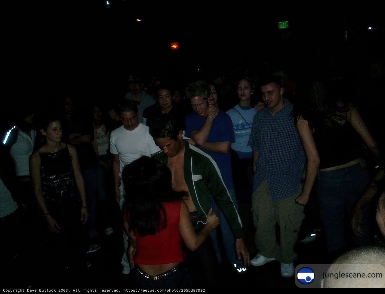 Night Club Fever