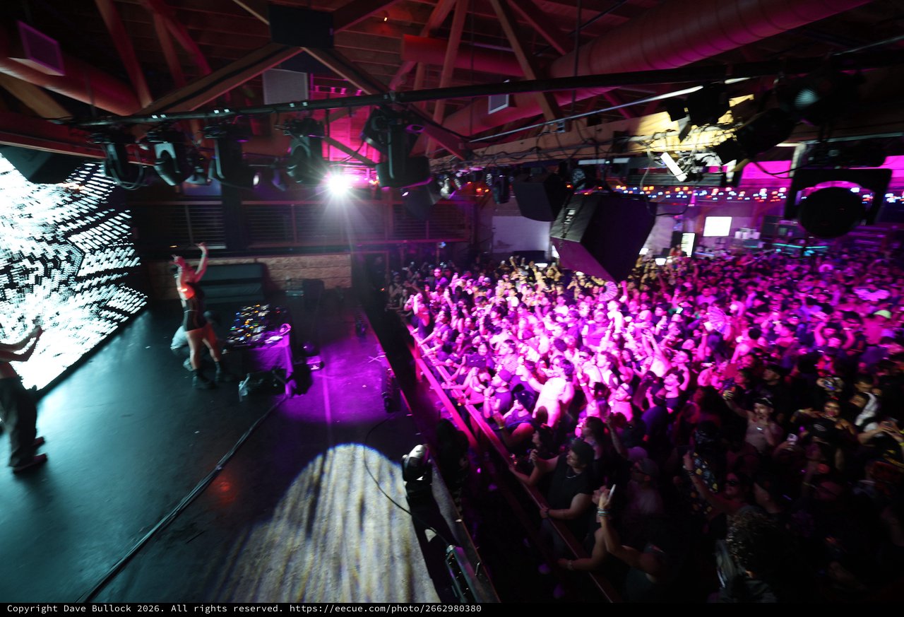 Packed Crowd Surges Under Purple Lights at Wobbleland