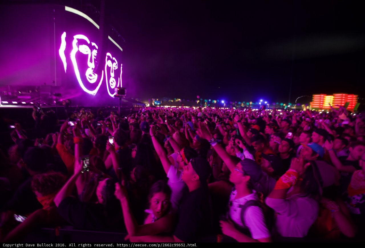 Purple Haze at Coachella