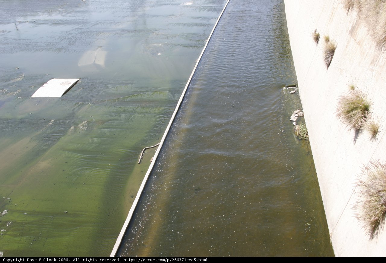 Overgrown Canal