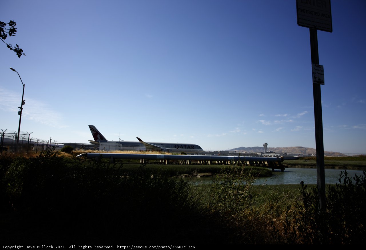 Unveiling The Giant Bird at Rest in Millbrae