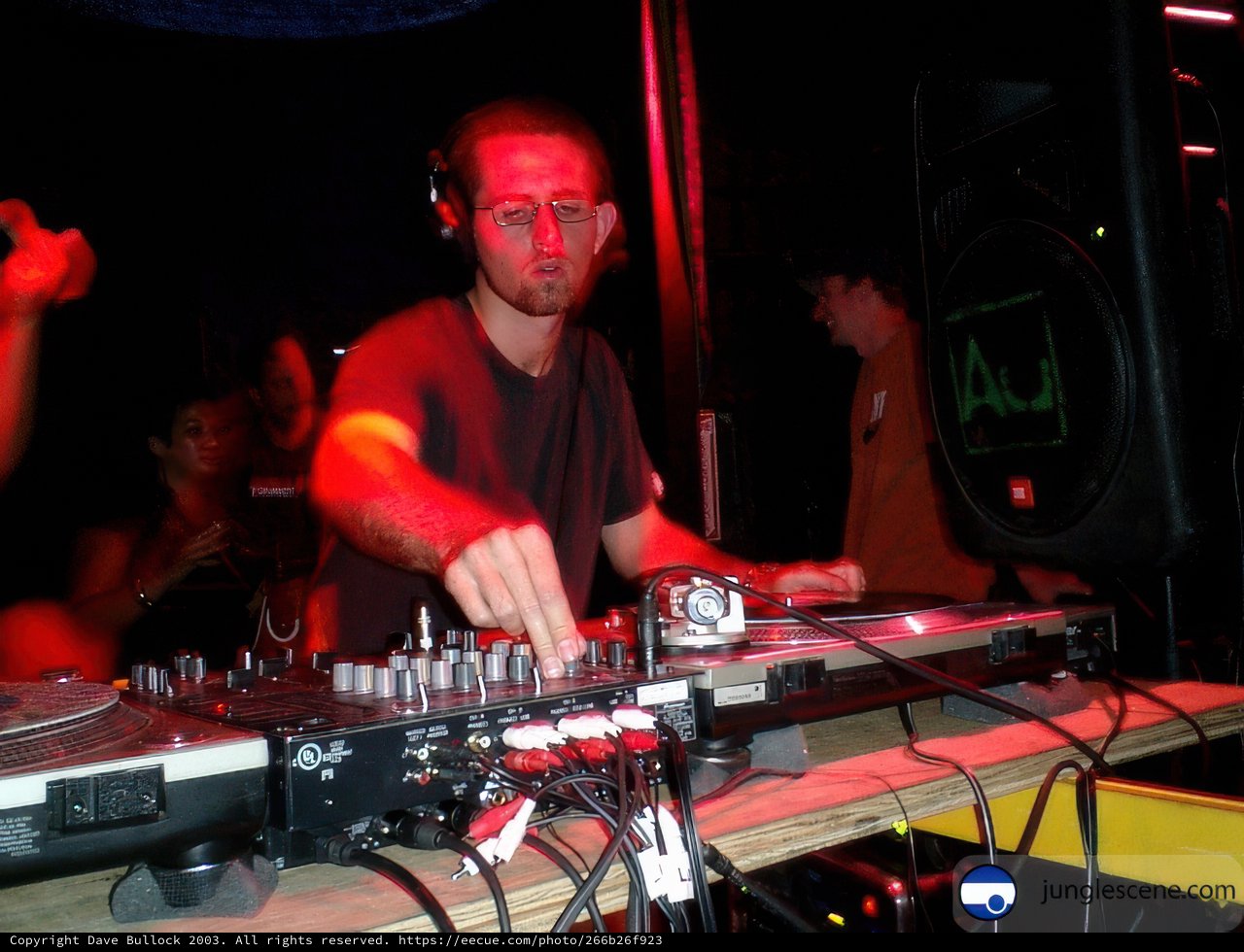 Party Deejay in Action