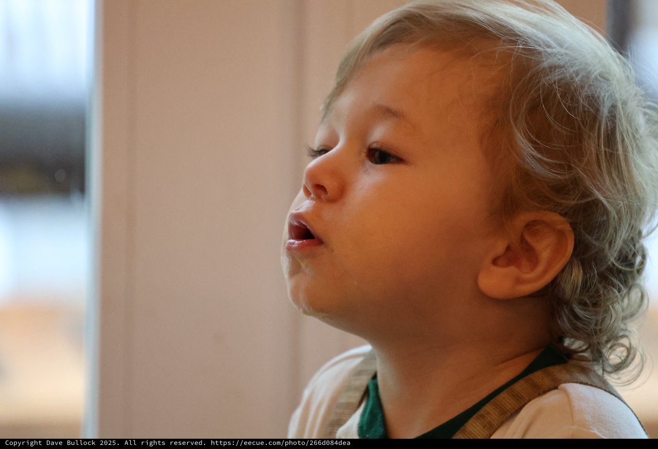 Curious Toddler Gazing at Christmas Lights