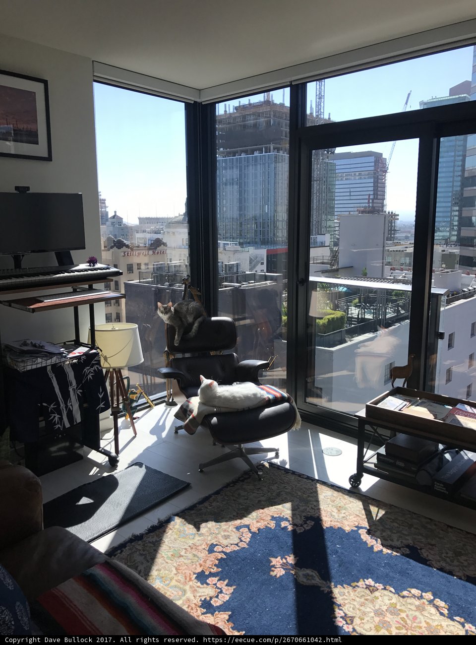 Relaxing in a Los Angeles Living Room