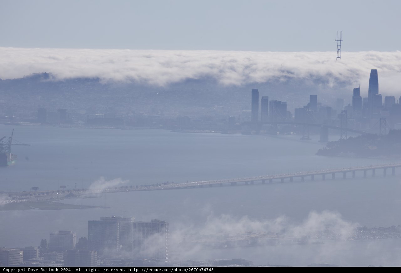 Enveloped in Mist: Urban Shadows